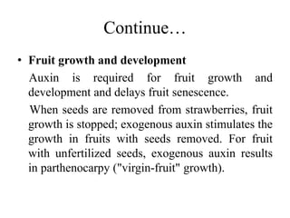 Continue…
• Fruit growth and development
Auxin is required for fruit growth and
development and delays fruit senescence.
When seeds are removed from strawberries, fruit
growth is stopped; exogenous auxin stimulates the
growth in fruits with seeds removed. For fruit
with unfertilized seeds, exogenous auxin results
in parthenocarpy ("virgin-fruit" growth).
 