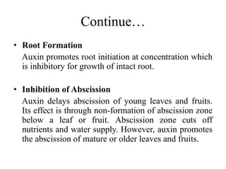 Continue…
• Root Formation
Auxin promotes root initiation at concentration which
is inhibitory for growth of intact root.
• Inhibition of Abscission
Auxin delays abscission of young leaves and fruits.
Its effect is through non-formation of abscission zone
below a leaf or fruit. Abscission zone cuts off
nutrients and water supply. However, auxin promotes
the abscission of mature or older leaves and fruits.
 
