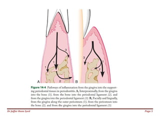 Dr Jaffar Raza Syed Page 5
 