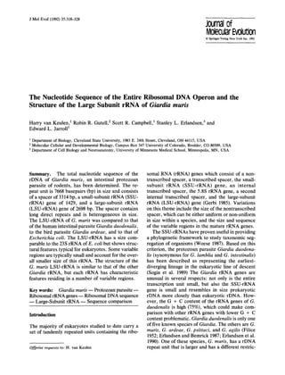 J Mol Evol (1992) 35:318-328
Journal of
MolecularEvolution
©Springer-VerlagNewYorkInc.1992
The Nucleotide Sequence of the Entire Ribosomal DNA Operon and the
Structure of the Large Subunit rRNA of Giardia muris
Harry van Keulen, 1 Robin R. Gutell, 2 Scott R. Campbell, 1 Stanley L. Erlandsen, 3 and
Edward L. Jarroll 1
Department of Biology, Cleveland State University, 1983 E. 24th Street, Cleveland, OH 44115, USA
z Molecular Cellular and Developmental Biology, Campus Box 347 University of Colorado, Boulder, CO 80309, USA
3 Department of Cell Biology and Neuroanatomy, University of Minnesota Medical School, Minneapolis, MN, USA
Summary. The total nucleotide sequence of the
rDNA of Giardia muris, an intestinal protozoan
parasite of rodents, has been determined. The re-
peat unit is 7668 basepairs (bp) in size and consists
of a spacer of 3314 bp, a small-subunit rRNA (SSU-
rRNA) gene of 1429, and a large-subunit rRNA
(LSU-rRNA) gene of 2698 bp. The spacer contains
long direct repeats and is heterogeneous in size.
The LSU-rRNA of G. muris was compared to that
of the human intestinal parasite Giardia duodenalis,
to the bird parasite Giardia ardeae, and to that of
Escherichia coli. The LSU-rRNA has a size com-
parable to the 23S rRNA of E. coli but shows struc-
tural features typical for eukaryotes. Some variable
regions are typically small and account for the over-
all smaller size of this rRNA. The structure of the
G. muris LSU-rRNA is similar to that of the other
Giardia rRNA, but each rRNA has characteristic
features residing in a number of variable regions.
Key words: Giardia muris-- Protozoan parasite
Ribosomal rRNA genes -- Ribosomal DNA sequence
Large-Subunit rRNA ~ Sequence comparison
Introduction
The majority of eukaryotes studied to date carry a
set of tandemly repeated units containing the ribo-
Offprint requests to: H. van Keulen
somal RNA (rRNA) genes which consist of a non-
transcribed spacer, a transcribed spacer, the small-
subunit rRNA (SSU-rRNA) gene, an internal
transcribed spacer, the 5.8S rRNA gene, a second
internal transcribed spacer, and the large-subunit
rRNA (LSU-rRNA) gene (Gerbi 1985). Variations
on this theme include the size of the nontranscribed
spacer, which can be either uniform or non-uniform
in size within a species, and the size and sequence
of the variable regions in the mature rRNA genes.
The SSU-rRNAs have proven useful in providing
a phylogenetic framework to study taxonomic seg-
regation of organisms (Woese 1987). Based on this
criterion, the protozoan parasite Giardia duodena-
lis (synonymous for G. lamblia and G. intestinalis)
has been described as representing the earliest-
diverging lineage in the eukaryotic line of descent
(Sogin et al. 1989) The Giardia rRNA genes are
unusual in several respects: not only is the entire
transcription unit small, but also the SSU-rRNA
gene is small and resembles in size prokaryotic
rDNA more closely than eukaryotic rDNA. How-
ever, the G + C content of the rRNA genes of G.
duodenalis is high (75%), which could make com-
parison with other rRNA genes with lower G + C
content problematic. Giardia duodenalis is only one
of five known species of Giardia. The others are G.
muris, G. ardeae, G. psittaci, and G. agilis (Filice
1952; Erlandsen and Bemrick 1987; Erlandsen et al.
1990). One of these species, G. muris, has a rDNA
repeat unit that is larger and has a different restric-
 