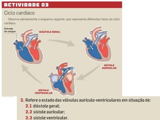 ciencias9ano.wordpress.com
 