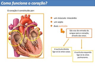 Como funciona o coração?
Divide o coração em
dois (direito
e esquerdo).
um músculo: miocárdio
um septo
O coração é constituído por:
Lado dto Lado esq
 