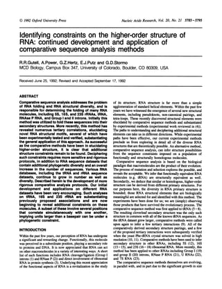 Nucleic Acids Research, Vol. 20, No. 21 5785-5795
Identifying constraints on the higher-order structure of
RNA: continued development and application of
comparative sequence analysis methods
R.R.Gutell, A.Power, G.Z.Hertz, E.J.Putz and G.D.Stormo
MCD Biology, Campus Box 347, University of Colorado, Boulder, CO 80309, USA
Received June 25, 1992; Revised and Accepted September 17, 1992
ABSTRACT
Comparative sequence analysis addresses the problem
of RNA folding and RNA structural diversity, and is
responsible for determining the folding of many RNA
molecules, including 5S, 16S, and 23S rRNAs, tRNA,
RNAse P RNA, and Group I and 11 introns. Initially this
method was utilized to fold these sequences into their
secondary structures. More recently, this method has
revealed numerous tertiary correlations, elucidating
novel RNA structural motifs, several of which have
been experimentally tested and verified, substantiating
the general application of this approach. As successful
as the comparative methods have been in elucidating
higher-order structure, it is clear that additional
structure constraints remain to be found. Deciphering
such constraints requires more sensitive and rigorous
protocols, in addition to RNA sequence datasets that
contain additional phylogenetic diversity and an overall
increase in the number of sequences. Various RNA
databases, including the tRNA and rRNA sequence
datasets, continue to grow in number as well as
diversity. Described herein is the development of more
rigorous comparative analysis protocols. Our initial
development and applications on different RNA
datasets have been very encouraging. Such analyses
on tRNA, 16S and 23S rRNA are substantiating
previously proposed associations and are now
beginning to reveal additional constraints on these
molecules. A subset of these involve several positions
that correlate simulataneously with one another,
implying units larger than a basepair can be under a
phylogenetic constraint.
INTRODUCTION
Within the past few years, our perception ofRNA has undergone
a significant and rewarding change. Functionally, this molecule
was perceived in a subordinate position, playing a secondary role
to proteins and DNA. It is now appreciated that RNA can act
on other macromolecules in a variety ofinteresting ways. A short
list of such functions includes RNA cleavage/ligation (Group I
introns (1) and RNase P (2)) and direct involvement of ribosomal
RNA in protein synthesis (3). Underlying this recent appreciation
of the functional aspects of RNA is a revitalization in the study
of its structure; RNA structure is far more than a simple
agglomeration ofstandard helical elements. Within the past few
years we have witnessed the emergence ofseveral new structural
elements, including pseudoknots, non-canonical pairings, and
tetra-loops. These recently discovered structural elements were
elucidated by comparative sequence methods and substantiated
by experimental methods (experimental work reviewed in (4)).
The paths to understanding and deciphering additional structural
elements can take us in different directions. While experimental
paths have been effective, our current experimental methods
preclude us from exploring in detail all of the diverse RNA
structures that are theoretically possible. An alternative method,
comparative sequence analysis, can infer structure possibilities
from the sequence constraints imposed on a population of
functionally and structurally homologous molecules.
Comparative sequence analysis is based on the biological
paradigm that macromolecules are the product oftheir evolution.
The process ofmutation and selection explores the possible, and
reveals the acceptable. We infer that functionally equivalent RNA
molecules (e.g. tRNA) are structurally equivalent as well.
Secondarily, we deduce that similar or homologous, higher-order
structure can be derived from different primary structures. For
our purposes here, the diversity in RNA primary structure is
bounded; those RNA structural elements that are biologically
meaningful are selected for and identified with this method. The
experiments have been done for us; we are (simply) observing
those products that have survived the evolutionary process. The
comparative sequence method was first applied to tRNA (5-8).
The resulting cloverleaf secondary structure was the only such
structure in common with all ofthe known tRNA sequences. As
the tRNA dataset grew larger, comparative methods were called
upon again to infer a few tertiary interactions (9). All of the
comparatively derived secondary structure pairings, and a few
of the proposed tertiary interactions were subsequently verified
when the yeast Phe-tRNA crystal structure was solved in high
resolution (10, 11). Comparative methods have been used to infer
secondary structure in other RNAs, including 5S (12), 16S
(13-15), and 23S (16-18) ribosomal RNA. More recently, this
method has been applied to other RNAs including Group 1 (19)
and group II (20) introns, RNase P RNA (21), U RNAs (22),
and 7S RNA (23).
The comparative sequence methods themselves are evolving,
in parallel with, and in part due to the significant growth in size
.j- 1992 Oxford University Press
 