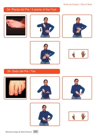 Partes de Cuerpo / Parts of Body

 34- Planta del Pie / It plants of the Foot




 35- Dedo del Pie / Toe




Manual de Lengua de Señas Peruanas   457
 