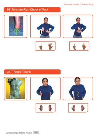 Partes de Cuerpo / Parts of Body

 36- Talón de Pie / Check of Foot




 37- Tronco / Trunk




Manual de Lengua de Señas Peruanas   458
 