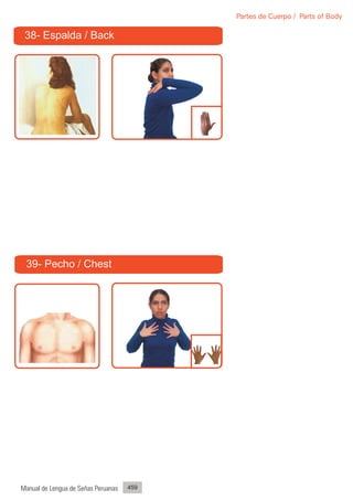 Partes de Cuerpo / Parts of Body

 38- Espalda / Back




 39- Pecho / Chest




Manual de Lengua de Señas Peruanas   459
 