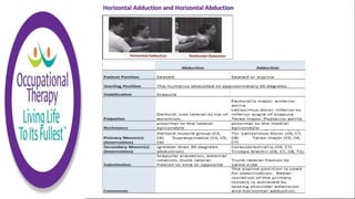 Horizontal Adduction and Horizontal Abduction
 