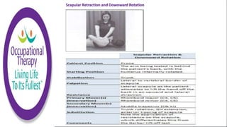 Scapular Retraction and Downward Rotation
 