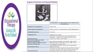 Scapular Protraction and Upward Rotation
 