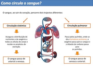 Como circula o sangue?
O sangue, ao sair do coração, percorre dois trajectos diferentes:
Circulação pulmonarCirculação sistémica
Assegura a distribuição de
nutrientes e de oxigénio a
todas as células do corpo e
recebe os produtos de
excreção.
Passa pelos pulmões, onde se
dá a hematose pulmonar, o
oxigénio passa para o sangue e
o dióxido de carbono passa
para
os pulmões.
O sangue passa de
venoso a arterial.
O sangue passa de
arterial a venoso.
 