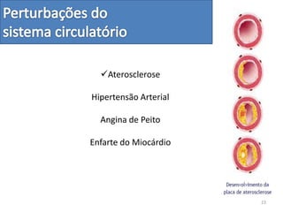 Aterosclerose
Hipertensão Arterial
Angina de Peito
Enfarte do Miocárdio
23
 