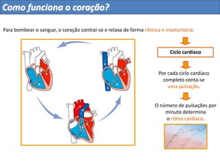Ciclo cardíaco
Por cada ciclo cardíaco
completo conta-se
uma pulsação.
O número de pulsações por
minuto determina
o ritmo cardíaco.
Para bombear o sangue, o coração contrai-se e relaxa de forma rítmica e involuntária:
Como funciona o coração?
 
