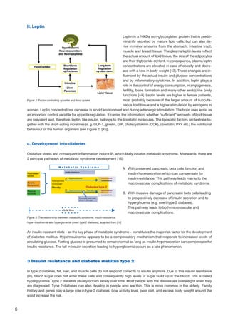 6
II. Leptin
Leptin is a 16kDa non-glycosylated protein that is predo-
minantly secreted by mature lipid cells, but can also de-
rive in minor amounts from the stomach, intestine tract,
muscle and breast tissue. The plasma leptin levels reflect
the actual amount of lipid tissue, the size of the adipocytes
and their triglyceride content. In consequence, plasma leptin
concentrations are elevated in case of obesity and decre-
ase with a loss in body weight [43]. These changes are in-
fluenced by the actual insulin and glucose concentrations
and by inflammatory cytokines. In addition, leptin plays a
role in the control of energy consumption, in angiogenesis,
fertility, bone formation and many other endocrine body
functions [44]. Leptin levels are higher in female patients,
most probably because of the larger amount of subcuta-
neous lipid tissue and a higher stimulation by estrogens in
women. Leptin concentrations decrease in a cold environment and during adrenergic stimulation. The brain uses leptin as
an important control variable for appetite regulation. It carries the information, whether “sufficient” amounts of lipid tissue
are prevalent and, therefore, leptin, like insulin, belongs to the lipostatic molecules. The lipostatic factors orchestrate to-
gether with the short-acting incretines (e. g. GLP-1, ghrelin, GIP, cholecystokinin (CCK), obestatin, PYY etc.) the nutritional
behaviour of the human organism (see Figure 2, [45]).
c. Development into diabetes
Oxidative stress and consequent inflammation induce IR, which likely initiates metabolic syndrome. Afterwards, there are
2 principal pathways of metabolic syndrome development [16]:
A. With preserved pancreatic beta cells function and
insulin hypersecretion which can compensate for
insulin resistance. This pathway leads mainly to the
macrovascular complications of metabolic syndrome.
B. With massive damage of pancreatic beta cells leading
to progressively decrease of insulin secretion and to
hyperglycemia (e.g. overt type 2 diabetes).
This pathway leads to both microvascular and
macrovascular complications.
An insulin-resistant state – as the key phase of metabolic syndrome – constitutes the major risk factor for the development
of diabetes mellitus. Hyperinsulinemia appears to be a compensatory mechanism that responds to increased levels of
circulating glucose. Fasting glucose is presumed to remain normal as long as insulin hypersecretion can compensate for
insulin resistance. The fall in insulin secretion leading to hyperglicemia occurs as a late phenomenon.
3 Insulin resistance and diabetes mellitus type 2
In type 2 diabetes, fat, liver, and muscle cells do not respond correctly to insulin anymore. Due to this insulin resistance
(IR), blood sugar does not enter these cells and consequently high levels of sugar build up in the blood. This is called
hyperglycemia. Type 2 diabetes usually occurs slowly over time. Most people with the disease are overweight when they
are diagnosed. Type 2 diabetes can also develop in people who are thin. This is more common in the elderly. Family
history and genes play a large role in type 2 diabetes. Low activity level, poor diet, and excess body weight around the
waist increase the risk.
Figure 3: The relationship between metabolic syndrome, insulin resistance,
hyper-insulinemia and hyperglycemia (overt type 2 diabetes), adapted from [16]
M e t a b o l i c S y n d r o m e
insulin resistance
Life time
Diabetes type 2
Pancreatic beta cells
stress  damage
Hyperinsulinemia
Macrovascular
+ Microvascular
complications
Macrovascular
complications
Food intake
excess
Genetic
background
Physical
inactivity
Adipogenesis
Overweight
A
Obesity
Hyperinsulinemia HyperglycemiaB
Figure 2: Factor controlling appetite and food uptake
 
