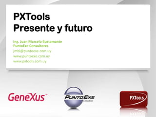 PXTools
Presente y futuro
Ing. Juan Marcelo Bustamante
PuntoExe Consultores
jmbl@puntoexe.com.uy
www.puntoexe.com.uy
www.pxtools.com.uy
 