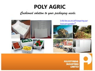 POLY AGRIC
Cushioned solution to your packaging needs.
Loss of vegetables due to Improper loading and transporting
Is this how you are still transporting your
fruits and vegetables?
 