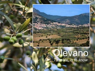 Olevano
To taste, is to know
 