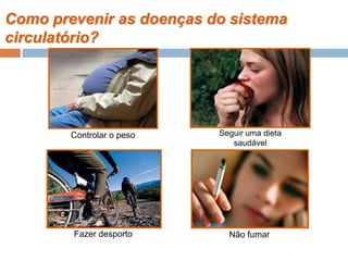 Como prevenir as doenças do sistema
circulatório?
Seguir uma dieta
saudável
Fazer desporto
Controlar o peso
Não fumar
 