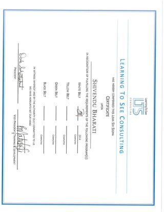 Lean Six Sigma - White Belt | PDF