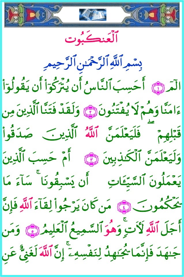 029 Alankaboot Iphone