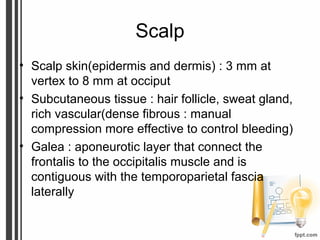 Scalp
• Scalp skin(epidermis and dermis) : 3 mm at
vertex to 8 mm at occiput
• Subcutaneous tissue : hair follicle, sweat gland,
rich vascular(dense fibrous : manual
compression more effective to control bleeding)
• Galea : aponeurotic layer that connect the
frontalis to the occipitalis muscle and is
contiguous with the temporoparietal fascia
laterally
 