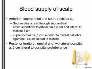 Blood supply of scalp
• Anterior : supraorbital and supratrochlear a.
– Supraorbital a. exit through supraorbital
notch,superficial to orbital rim 1.5 cm and lateral to
midline 3 cm
– supratrochlear a.,1 cm superior to medial palpebral
ligament, 1.5 cm lateral to midline
• Posterior territory : medial and two lateral occipital
a.,5 cm lateral to occipital protuberance
 