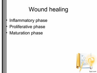 Wound healing
• Inflammatory phase
• Proliferative phase
• Maturation phase
 