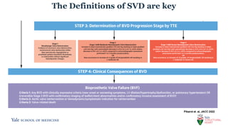 Valve Durability, Degeneration, and Dangers | PDF
