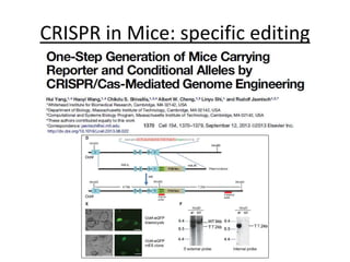 CRISPR in Mice: specific editing
 