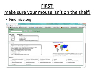FIRST:
make sure your mouse isn’t on the shelf!
• Findmice.org
 