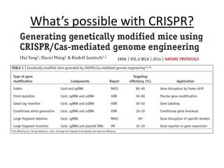 What’s possible with CRISPR?
 