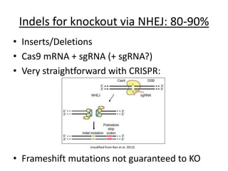 Indels for knockout via NHEJ: 80-90%
• Inserts/Deletions
• Cas9 mRNA + sgRNA (+ sgRNA?)
• Very straightforward with CRISPR:
• Frameshift mutations not guaranteed to KO
(modified from Ran et al. 2013)
 