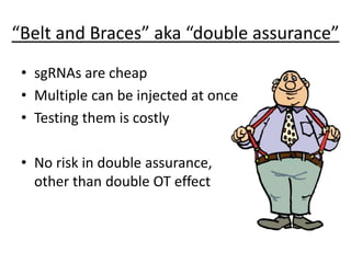 “Belt and Braces” aka “double assurance”
• sgRNAs are cheap
• Multiple can be injected at once
• Testing them is costly
• No risk in double assurance,
other than double OT effect
 