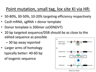 Point mutation, small tag, lox site KI via HR:
• 50-80%, 30-50%, 10-20% targeting efficiency respectively
• Cas9 mRNA, sgRNA + donor template
• Donor template is 200mer ssODN(IVT)
• 20 bp targeted sequence/DSB should be as close to the
edited sequence as possible
– 30 bp away reported
• Larger arms of homology
typically better: 40-60 bp
of isogenic sequence
(Shao et al. 2014)
 
