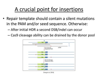 A crucial point for insertions
• Repair template should contain a silent mutations
in the PAM and/or seed sequence. Otherwise:
– After initial HDR a second DSB/indel can occur
– Cas9 cleavage ability can be drained by the donor pool
(Yang et al. 2014)
 