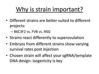 Why is strain important?
• Different strains are better suited to different
projects:
– B6C3F2 vs. FVB vs. NSG
• Strains react differently to superovulation
• Embryos from different strains show varying
survival rates post injection
• Chosen strain will affect your sgRNA/template
DNA design: isogenicity is key
 