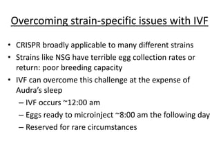 Overcoming strain-specific issues with IVF
• CRISPR broadly applicable to many different strains
• Strains like NSG have terrible egg collection rates or
return: poor breeding capacity
• IVF can overcome this challenge at the expense of
Audra’s sleep
– IVF occurs ~12:00 am
– Eggs ready to microinject ~8:00 am the following day
– Reserved for rare circumstances
 