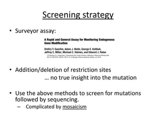 Screening strategy
• Surveyor assay:
• Addition/deletion of restriction sites
… no true insight into the mutation
• Use the above methods to screen for mutations
followed by sequencing.
– Complicated by mosaicism
 