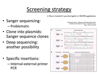 Screening strategy
• Sanger sequencing:
– Problematic
• Clone into plasmids:
Sanger sequence clones
• Deep sequencing:
another possibility
• Specific insertions:
– Internal-external primer
PCR
 