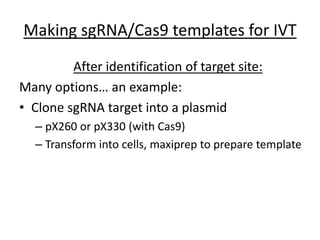 Making sgRNA/Cas9 templates for IVT
After identification of target site:
Many options… an example:
• Clone sgRNA target into a plasmid
– pX260 or pX330 (with Cas9)
– Transform into cells, maxiprep to prepare template
 