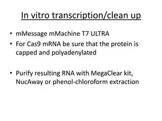 In vitro transcription/clean up
• mMessage mMachine T7 ULTRA
• For Cas9 mRNA be sure that the protein is
capped and polyadenylated
• Purify resulting RNA with MegaClear kit,
NucAway or phenol-chloroform extraction
 