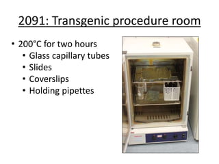 2091: Transgenic procedure room
• 200°C for two hours
• Glass capillary tubes
• Slides
• Coverslips
• Holding pipettes
 