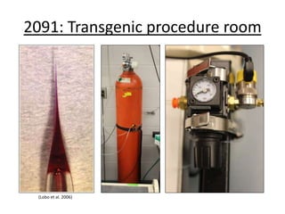 2091: Transgenic procedure room
(Lobo et al. 2006)
 