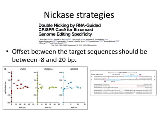 Nickase strategies
• Offset between the target sequences should be
between -8 and 20 bp.
 