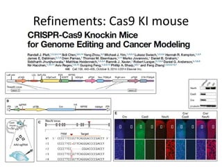 Refinements: Cas9 KI mouse
 