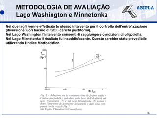 16
METODOLOGIA DE AVALIAÇÃO
Lago Washington e Minnetonka
Nei due laghi venne effettuato lo stesso intervento per il controllo dell’eutrofizzazione
(diversione fuori bacino di tutti i carichi puntiformi).
Nel Lago Washington l’intervento consentì di raggiungere condizioni di oligotrofia.
Nel Lago Minnetonka il risultato fu insoddisfacente. Questo sarebbe stato prevedibile
utilizzando l’Indice Morfoedafico.
 