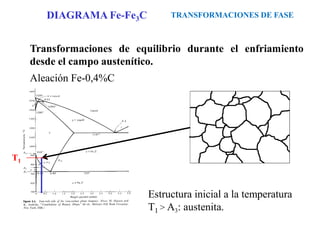 Transformaciones de equilibrio durante el enfriamiento
desde el campo austenítico.
Aleación Fe-0,4%C
Estructura inicial a la temperatura
T1 > A3: austenita.
T1
TRANSFORMACIONES DE FASE
DIAGRAMA Fe-Fe3C
 
