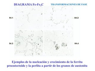 Ejemplos de la nucleación y crecimiento de la ferrita
proeutectoide y la perlita a partir de los granos de austenita
TRANSFORMACIONES DE FASE
DIAGRAMA Fe-Fe3C
 