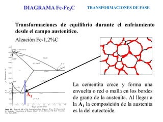 Transformaciones de equilibrio durante el enfriamiento
desde el campo austenítico.
Aleación Fe-1,2%C
La cementita crece y forma una
envuelta o red o malla en los bordes
de grano de la austenita. Al llegar a
la A1 la composición de la austenita
es la del eutectoide.
TRANSFORMACIONES DE FASE
DIAGRAMA Fe-Fe3C
A1
 