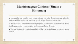 Manifestações Clínicas (Sinais e
Sintomas)
✔ Agrupadas de acordo com a sua origem, ou seja, decorrentes de infecção
sistêmica (febre, calafrios, mal-estar geral, fadiga, fraqueza, anorexia);
✔ Relacionada à lesão intravascular (dispnéia, dor torácica, extremidades frias e
úmidas, petéquias e hemorragias na forma de chama de vela);
✔ Característicos de reação imunológica (dor nas articulações, hematúria, entre
outros).
 