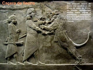 Caçera de lleons Una eloqüent cacera de
lleons està recollida en els
frisos del palau de Nínive,
on apareix Assurbanipal
muntat sobre bigues i
quadrigues, acompanyat
dels seus servidors, donant
mort als lleons amb llances
i fletxes.
 